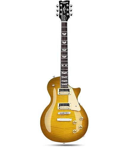 Amazon.com: WestCreek 333 Electric Guitar with 6 String